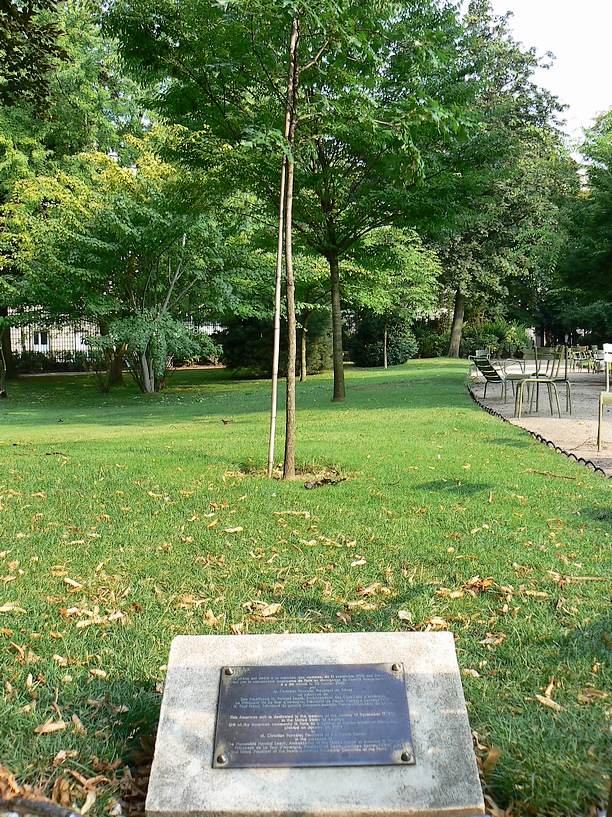 Le Jardin du Luxembourg: chene en hommage au 11 septembre 188